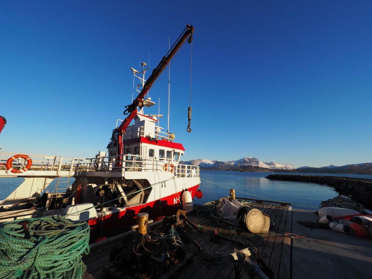 Steinbakk - Vestresand Lofoten Bostad Ngoại thất bức ảnh